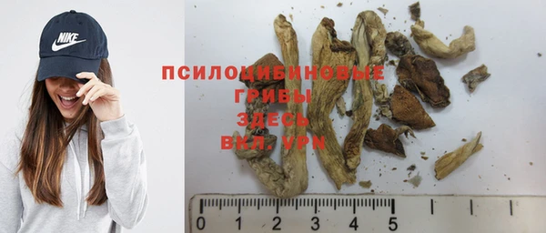 СК Бронницы