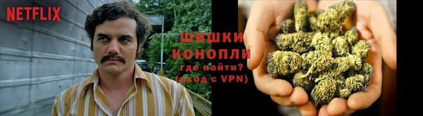 СК Бронницы