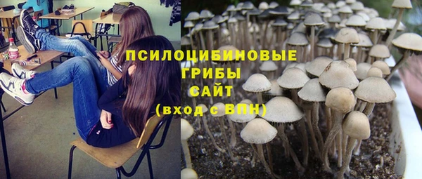 СК Бронницы