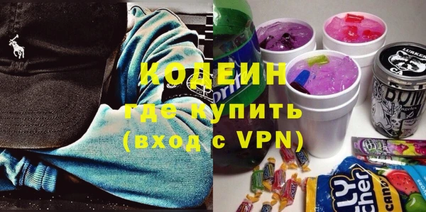 СК Бронницы